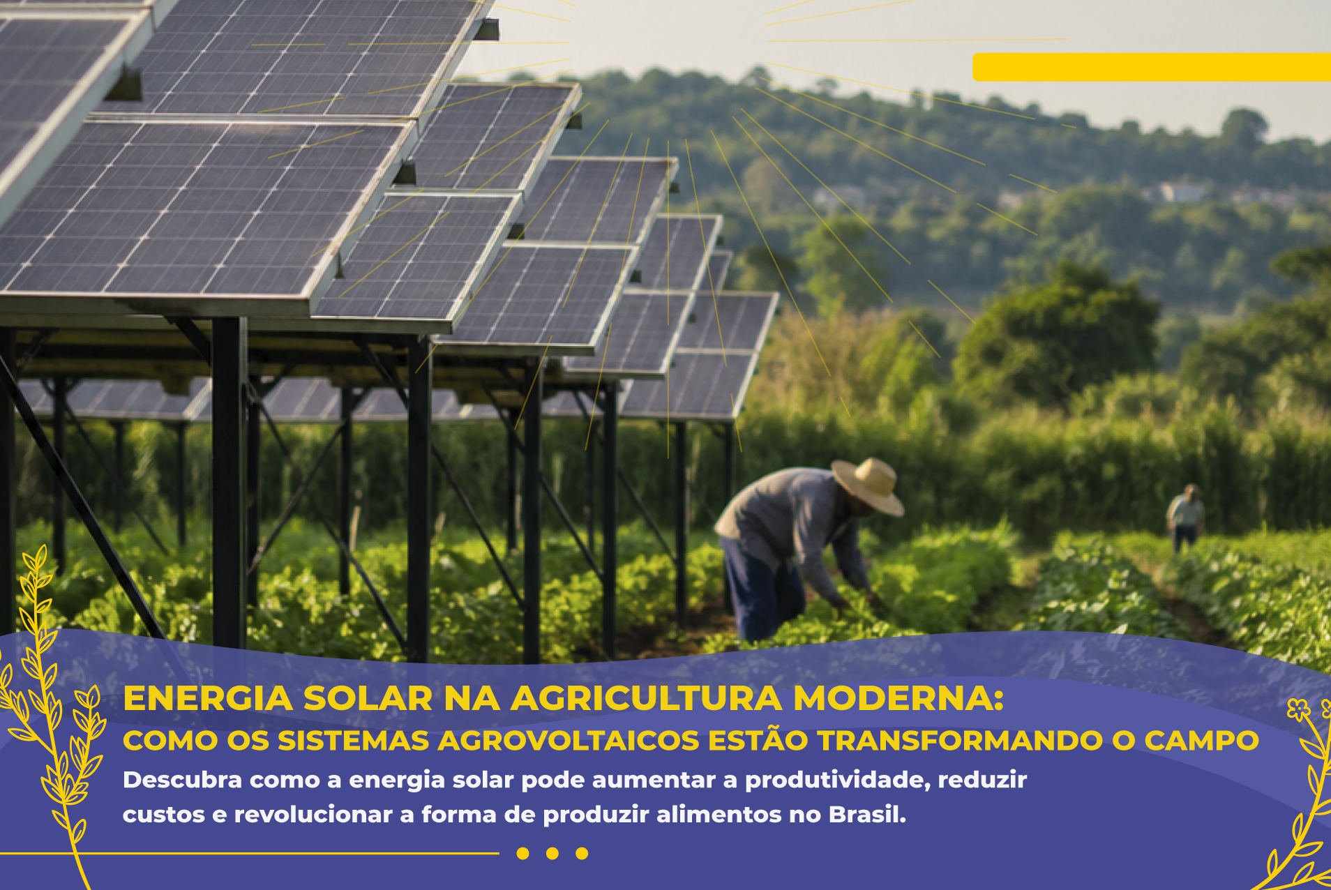 Energia solar na agricultura moderna: como os sistemas agrovoltaicos estão transformando o campo