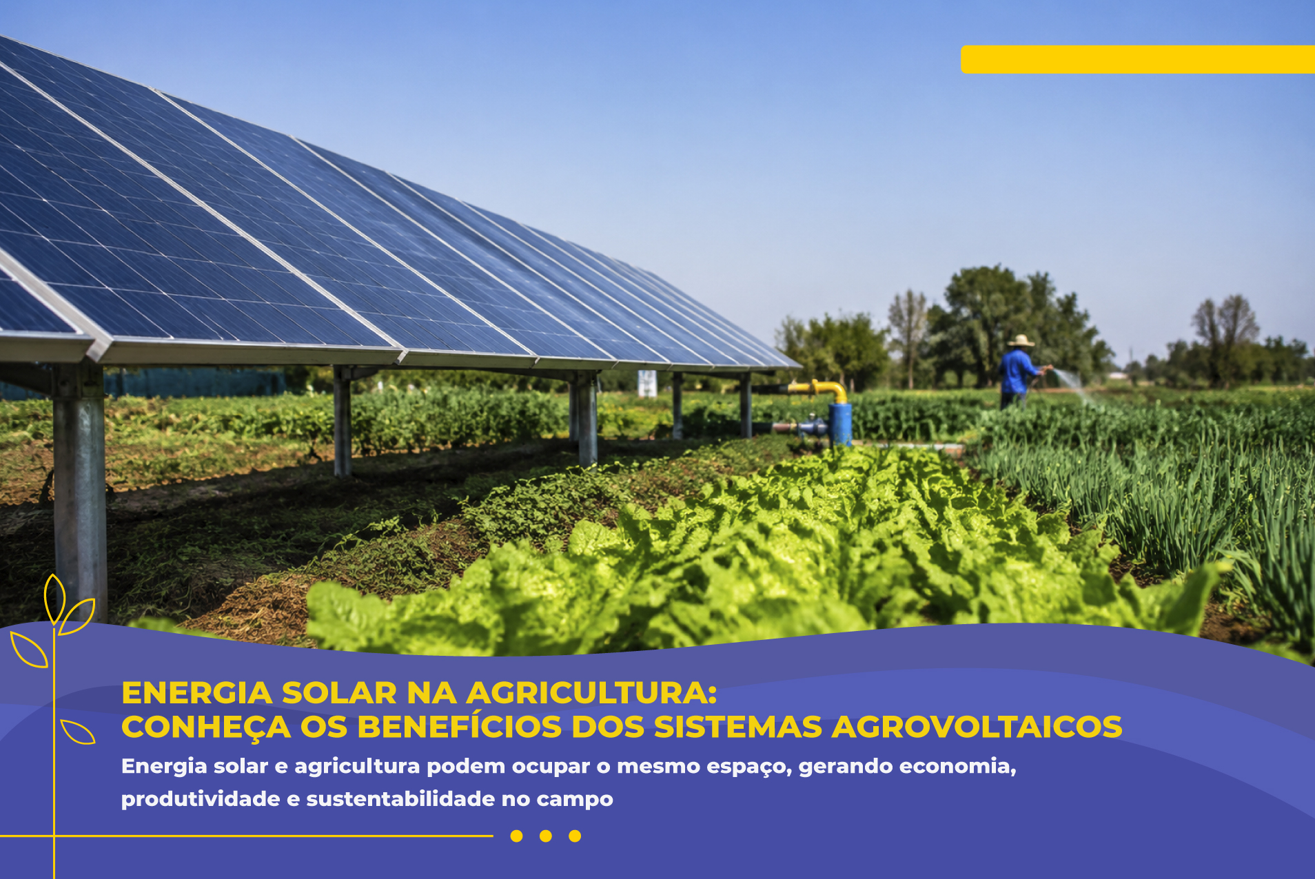 Energia Solar na Agricultura: Conheça os Benefícios dos Sistemas Agrovoltaicos
